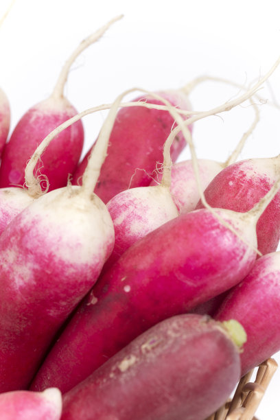 白底上一堆红萝卜图片下载