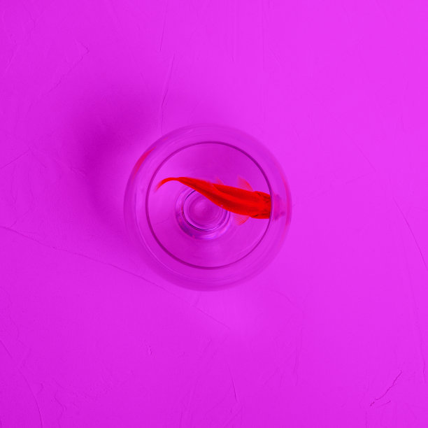 彩色的鱼在装有水的玻璃杯里游泳。孤独的鱼在明亮的背景上。当代艺术,拼贴。图片下载