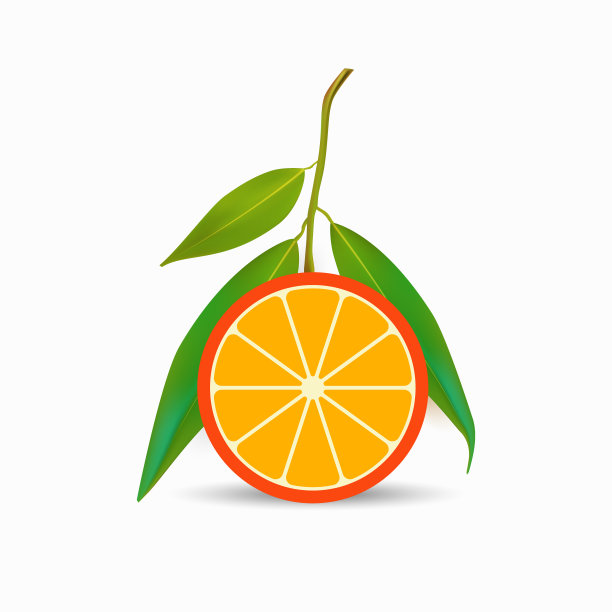 新鲜成熟的带叶子的橙子图片下载