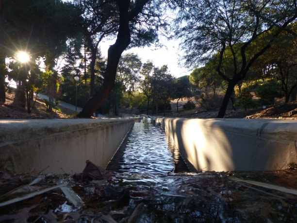 害羞的河图片下载