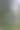 阳光在树林的树干之间图片下载