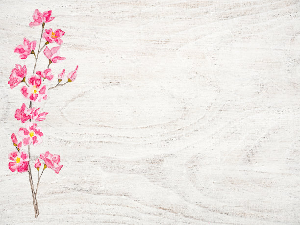 贺卡与鲜花的图片图片下载