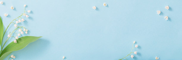 蓝色背景上的铃兰图片下载