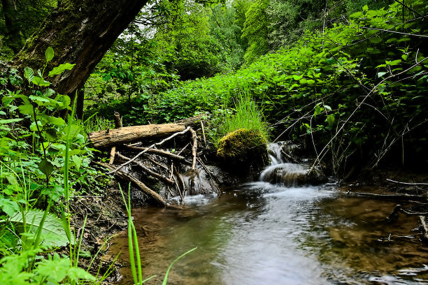 小水池在小溪Mühlbach图片下载