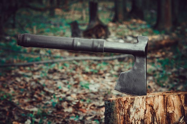 斧子和树图片下载