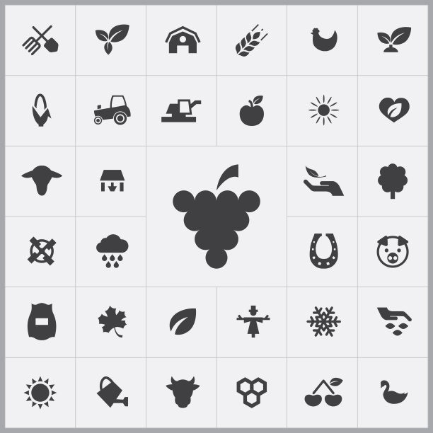 葡萄图标。农业，农场图标通用集图片下载