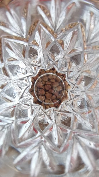 荞麦白色玻璃点缀图片下载