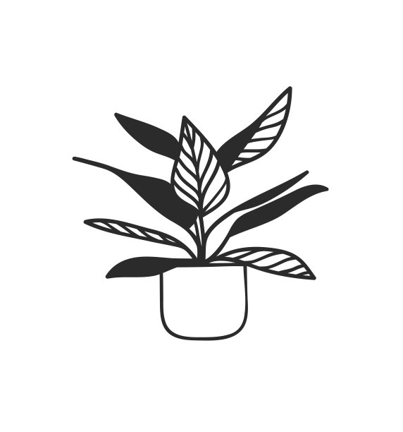 手绘白色背景室内物品矢量温馨线条插画创意美术作品涂鸦家居植物图片下载