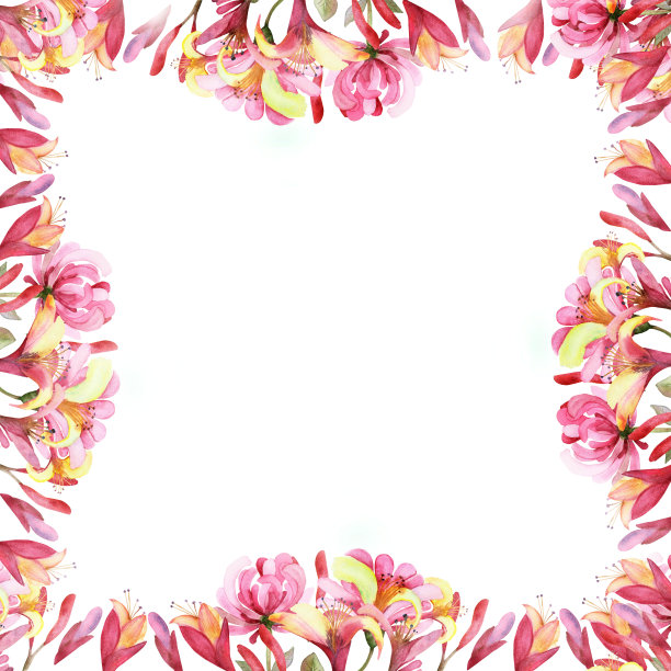 水彩手绘自然花卉方形边框与粉红色的花金银花组成在白色的背景邀请和问候卡与文字的空间图片下载