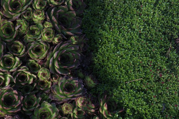 美美的图片下载