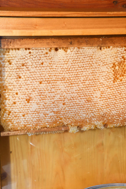 蜂蜜在农贸市场出售。图片下载