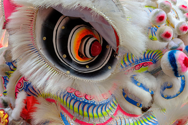 中国舞狮是中国文化的传统舞蹈，表演者穿着狮子服装模仿狮子的动作，以带来好运和财富。图片下载