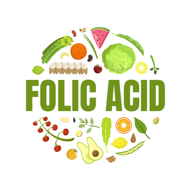 叶酸横幅模板，健康维生素食品，含有叶酸的产品圆形形状矢量插图图片下载