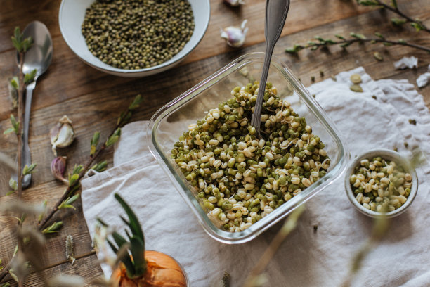 木桌上的玻璃罐里装着发芽的亚洲豆子图片下载