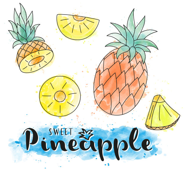 水彩菠萝集孤立的白色背景。矢量插图。图片下载