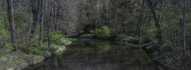 波西米亚南部巴沃洛夫镇附近的布兰尼斯河上的堰图片下载
