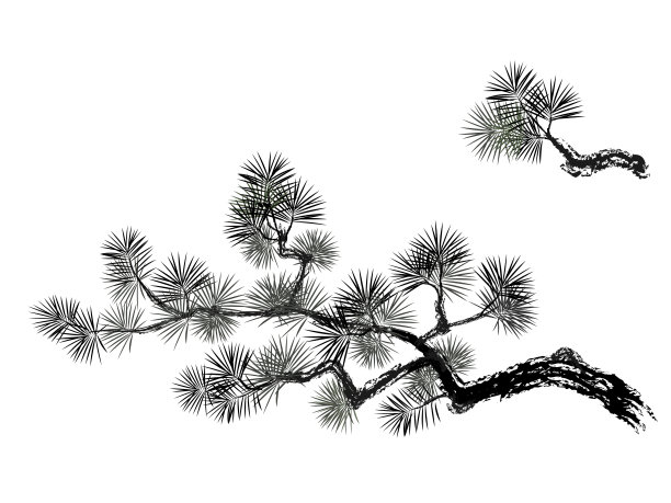 矢量图的松树。图片下载