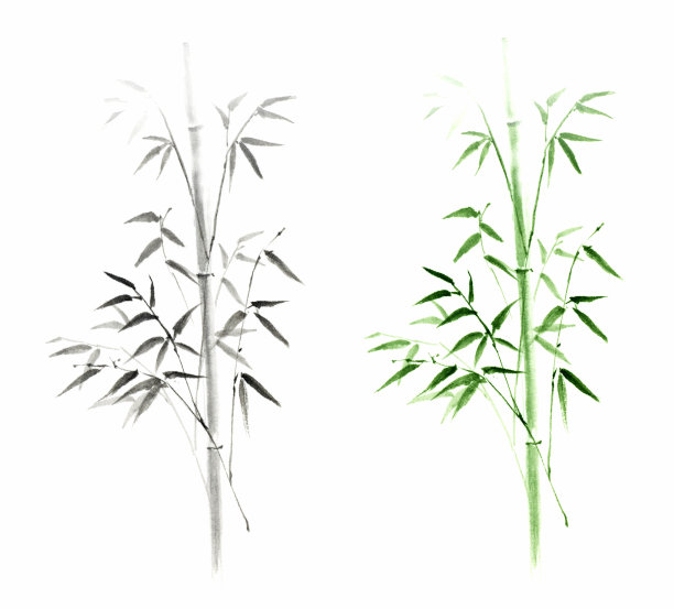 水墨画竹画。图片下载