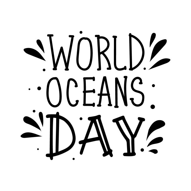 世界海洋日文字手绘字母孤立。设计模板。庆祝海洋日的贺卡。大纲说明。图片下载