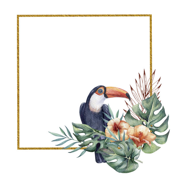 金色框架与巨嘴鸟图片下载