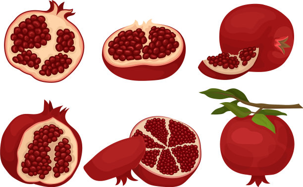 石榴果实整体和许多切片图片下载