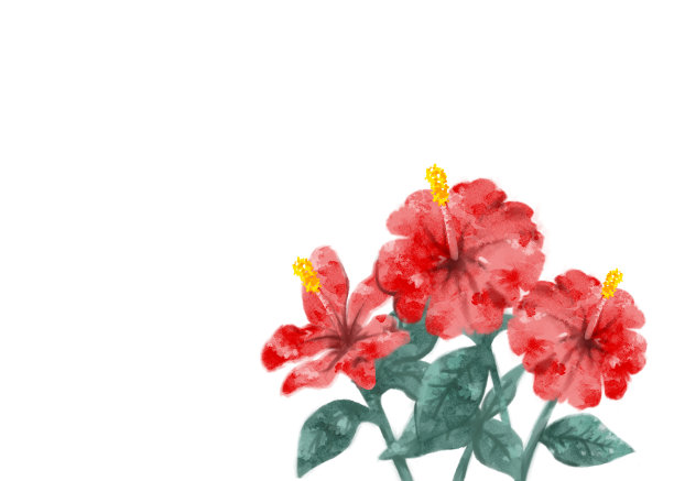 木槿水彩插图材料图片下载