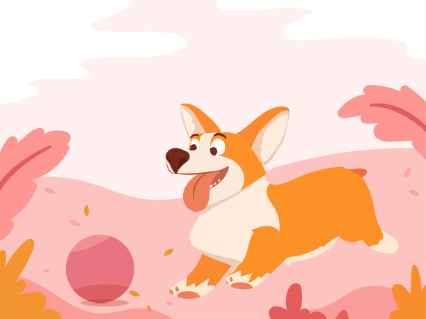 有趣的小柯基在公园散步。图片下载