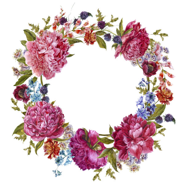 水彩紫红色牡丹，天然深粉色牡丹花图片下载