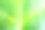 水滴在绿叶上的特写图片下载