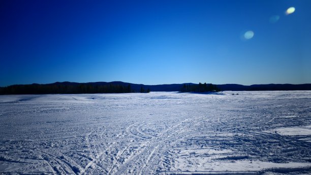 白雪皑皑的湖面，碧空无云，四周是森林图片下载