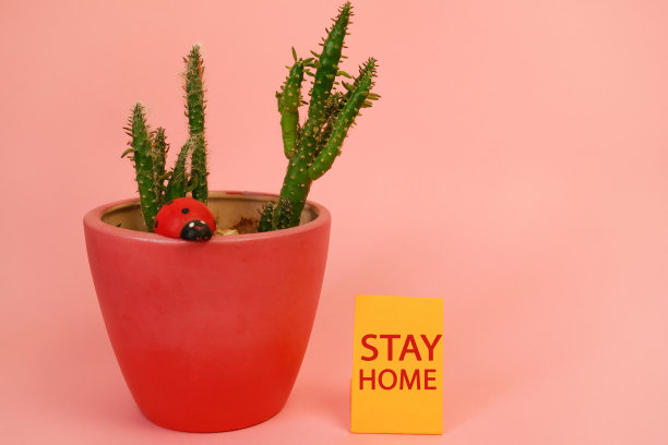 家居装饰和带有“待在家里”标签的留言卡图片下载