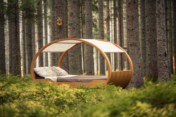 圆形的床坐落在秋天的森林中图片下载