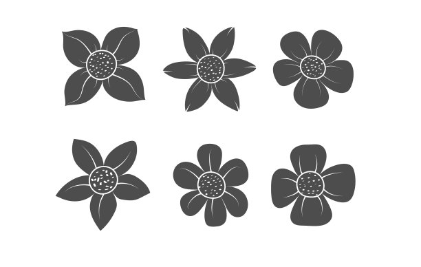 设置美丽的花卉剪影图片下载