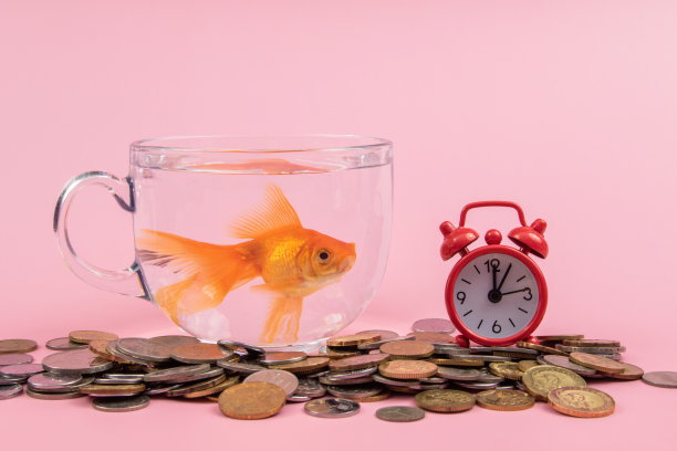 硬币，红色闹钟和金鱼在一个碗里。时间就是金钱的概念，企业的概念。图片下载