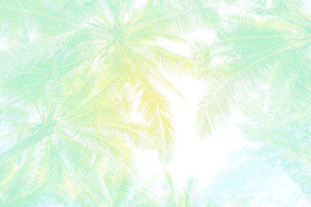 夏季概念背景图片下载