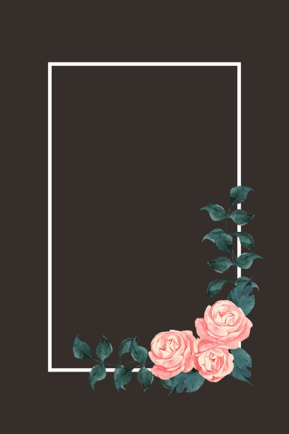 粉红玫瑰框架图片下载