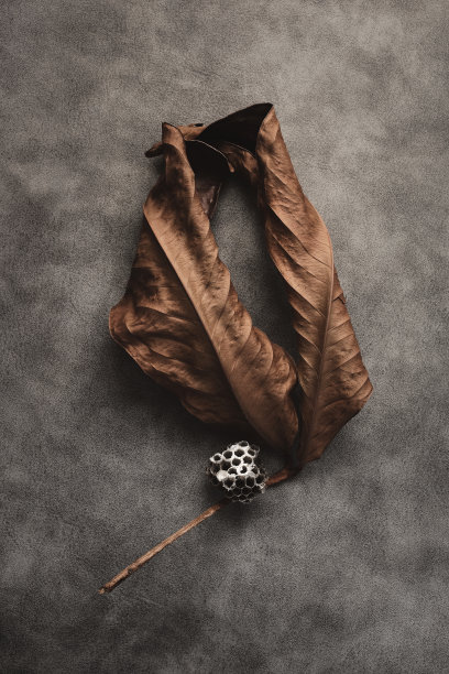 干叶与马蜂窝图片下载