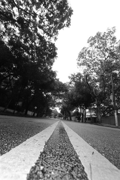 Covid 19 -黑色和白色图片下载