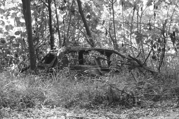 Covid 19 -黑色和白色图片下载