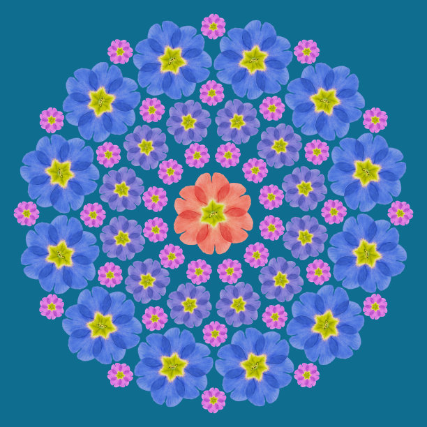 曼陀罗来自干压花，花瓣。樱草属植物,月见草。曼荼罗是佛教、印度教、瑜伽的象征。用东方风格的花卉元素装饰曼陀罗，放松和冥想图片下载