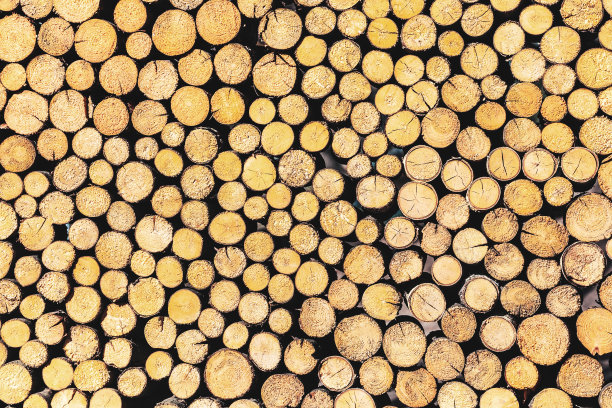 木柴的质地有裂缝。木材抽象背景原木为天然棕色图片下载