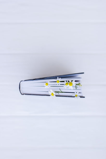 用白色雏菊花装饰的书。图片下载