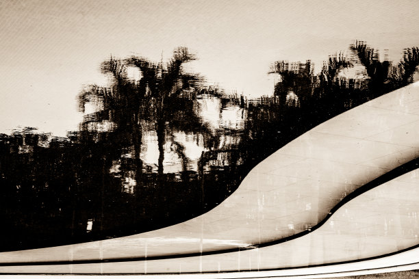 棕榈树反射图片下载