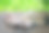 质朴的桌子上放着一些旧书和棕色的枫叶图片下载