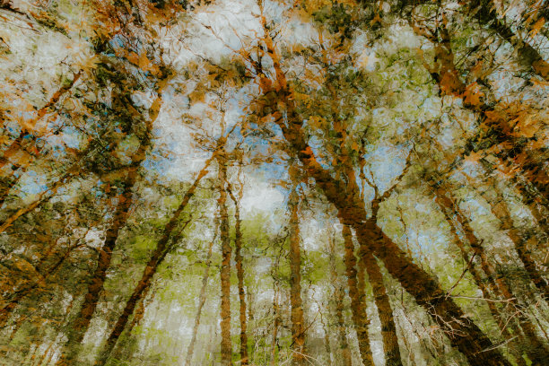 自然的反射图片下载