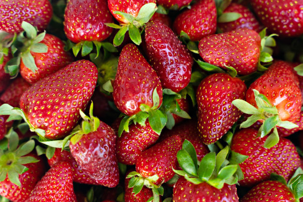 许多草莓与绿色马尾辫的特写照片图片下载