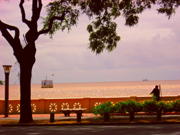 海边和人们在人行道上图片下载