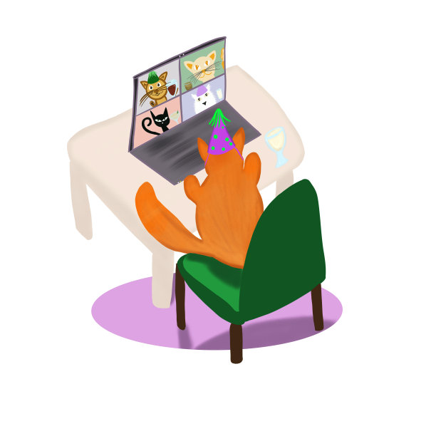 猫咪在网上和朋友庆祝生日。在线视频会议。检疫的概念。呆在家里。大流行。电脑。庆祝。方在线图片下载