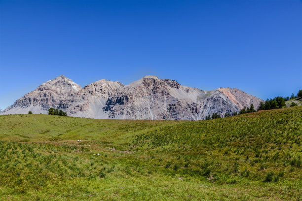 东方三博士图片下载