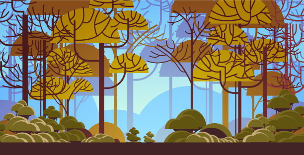 清晨绿树成荫，森林美丽的大自然图片下载